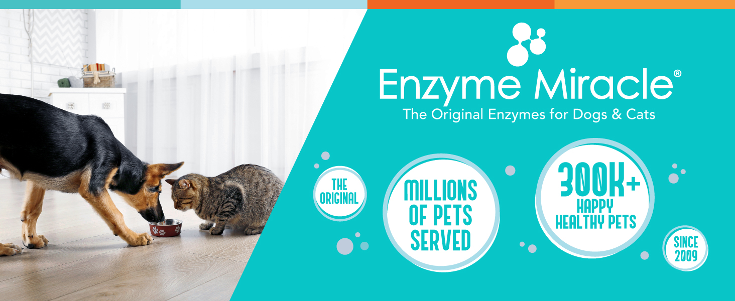digestive enzymes for dogs cats