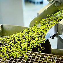 kouzini greek organic olive oil