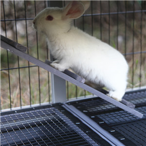 outdoor rabbit hutch