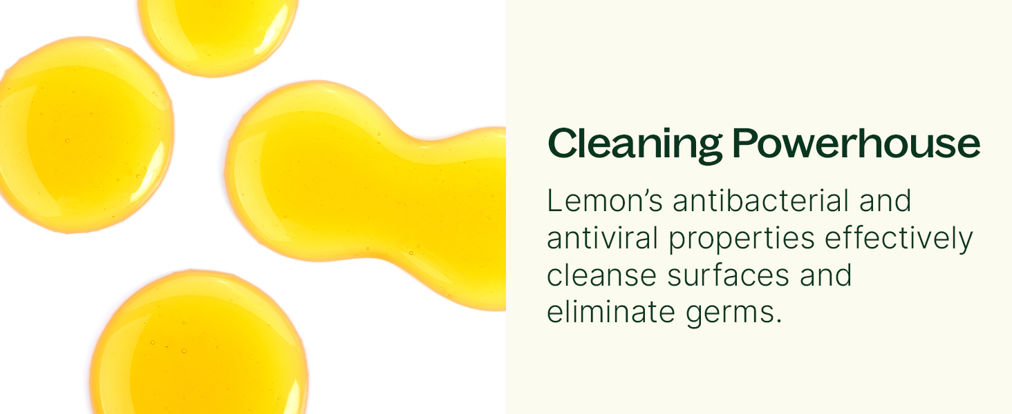 cleaning