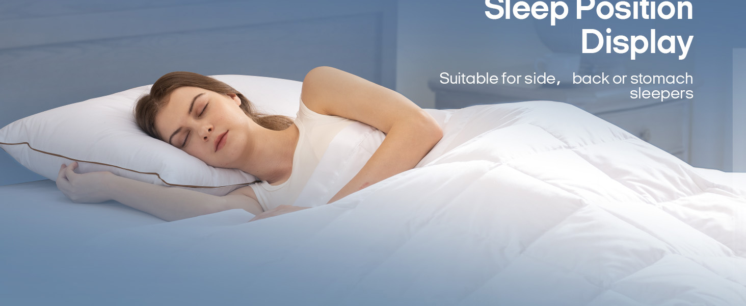 Goose Feathers and Down Pillows