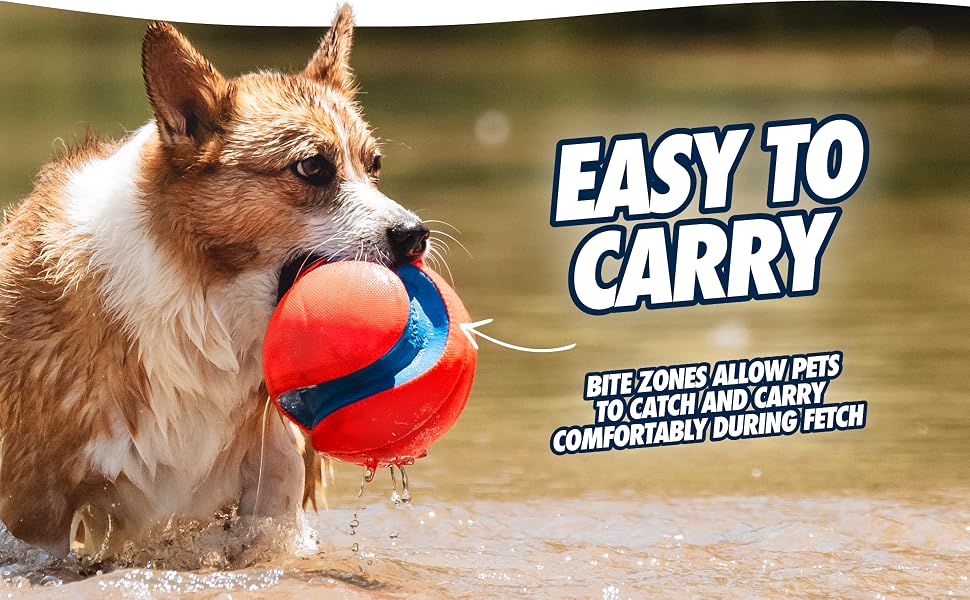 Easy to Carry - dog carrying toy