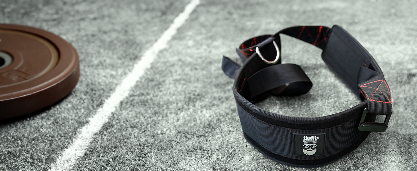 Sled pulling belt with D-rings and padded strap shown on turf near weight plate, ready for training
