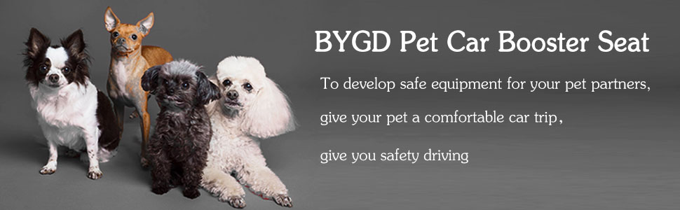 dog car seat