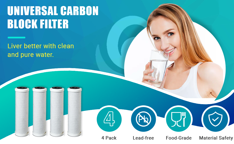 Carbon Block Filter