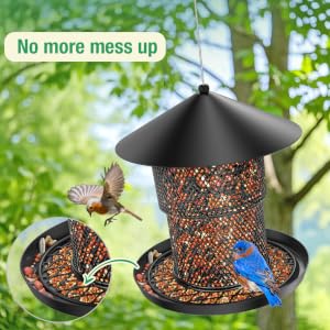 Bird Feeder for Outdoor