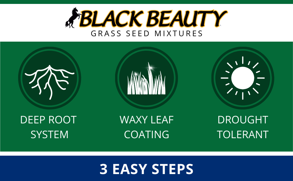 jonathan green black beauty ultra grass seed lawn care yard