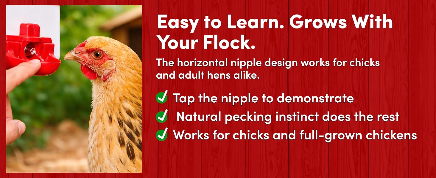Easy to learn