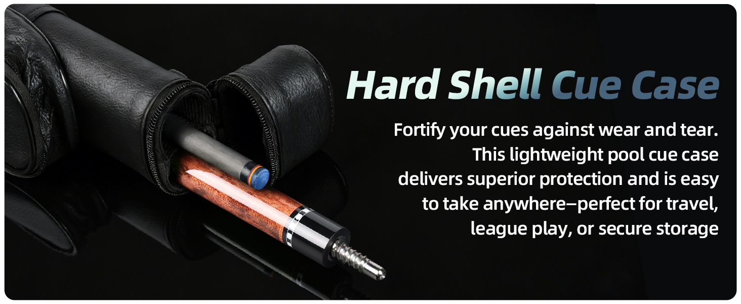 pool cue case