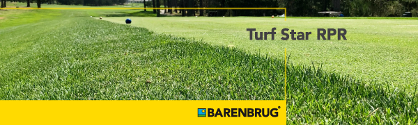 grass seed, sun shade, grow, lawn, weed, aerator, garden soil, fertilizer, hard to grow, turf, build