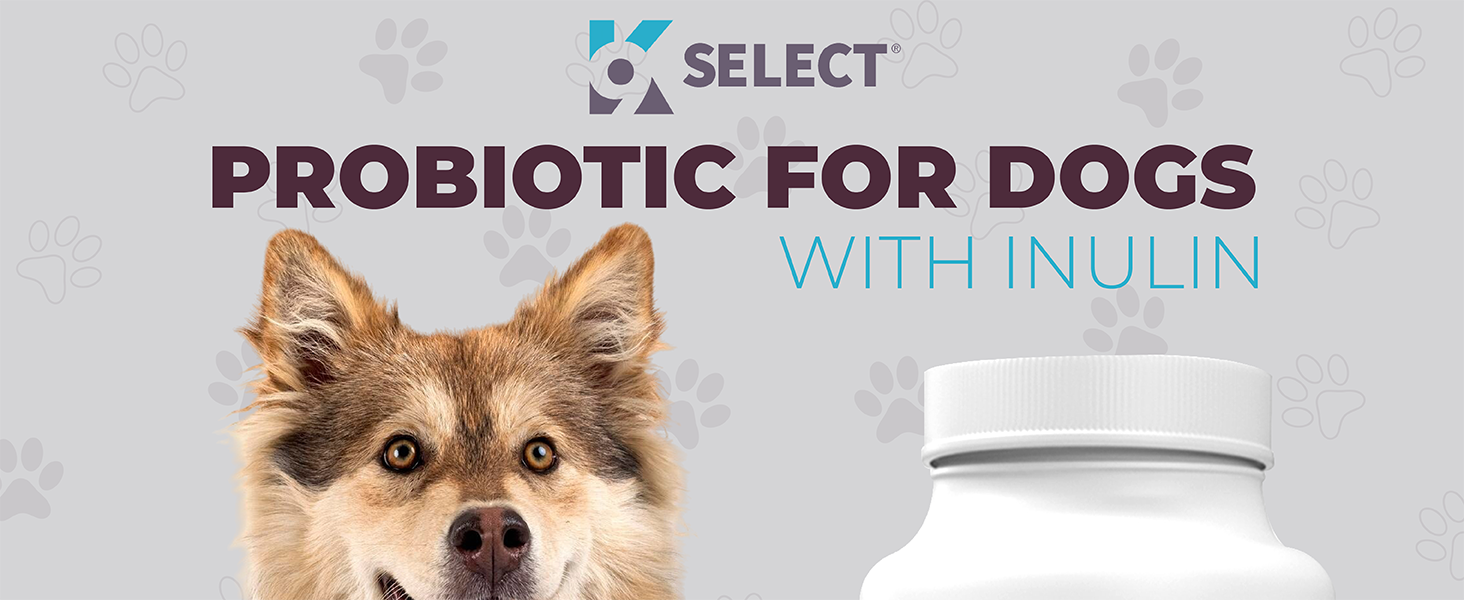 Chewable Probiotics for Dogs