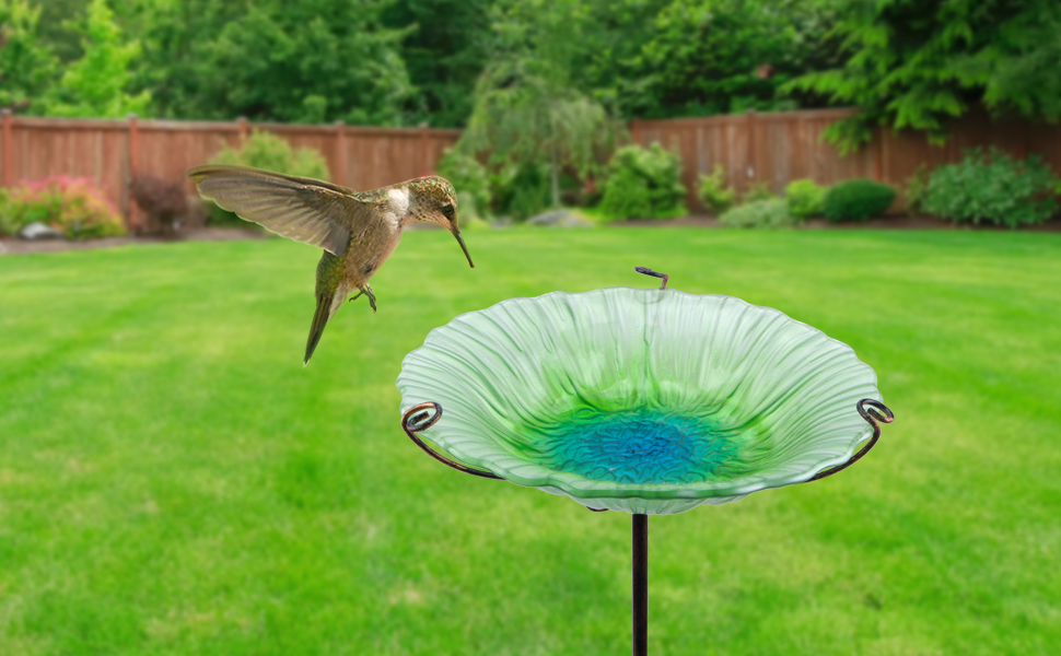 birdbath