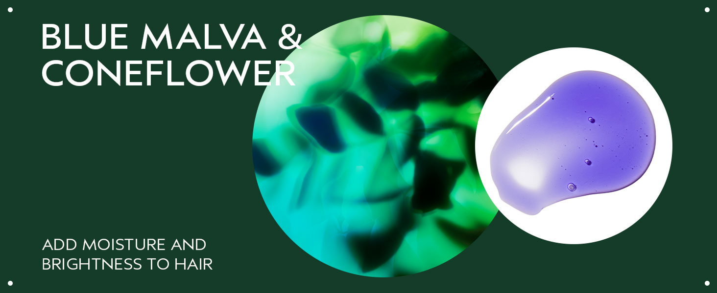 Blue Malva Shampoo