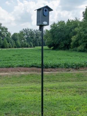 Ultimate Bluebird House on Universal Pole Kit