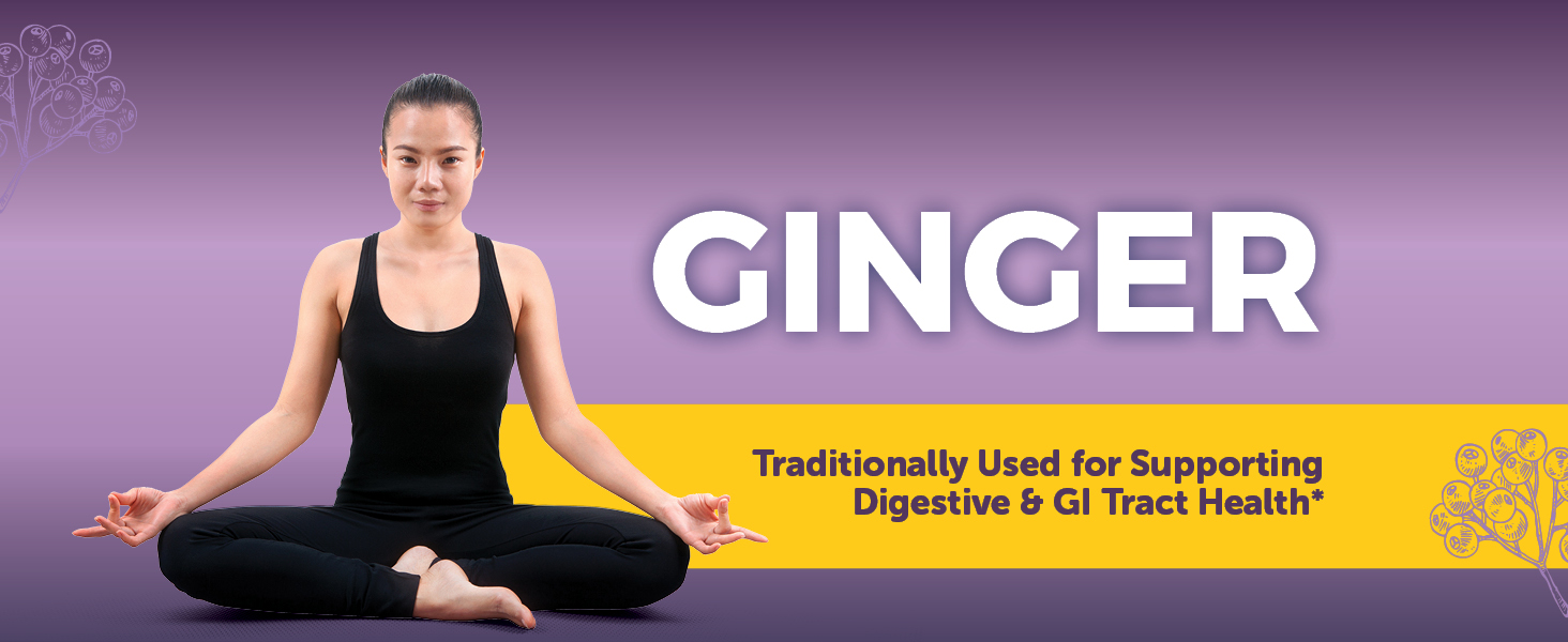 Ginger Support