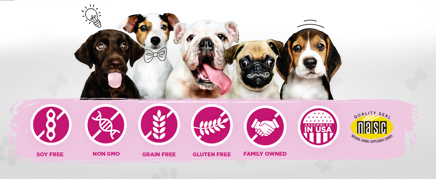 enzymes probiotics prebiotics fiber pumpkin fennel pancreatin digestion pancreas veterinarian