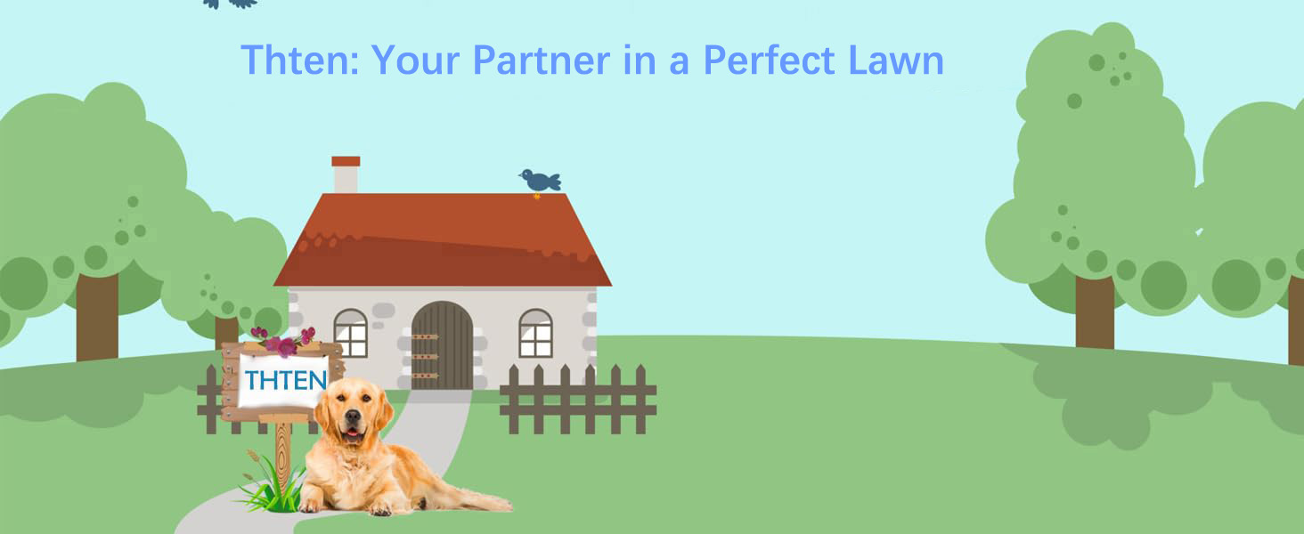 Thten: Your Partner in a Perfect Lawn.