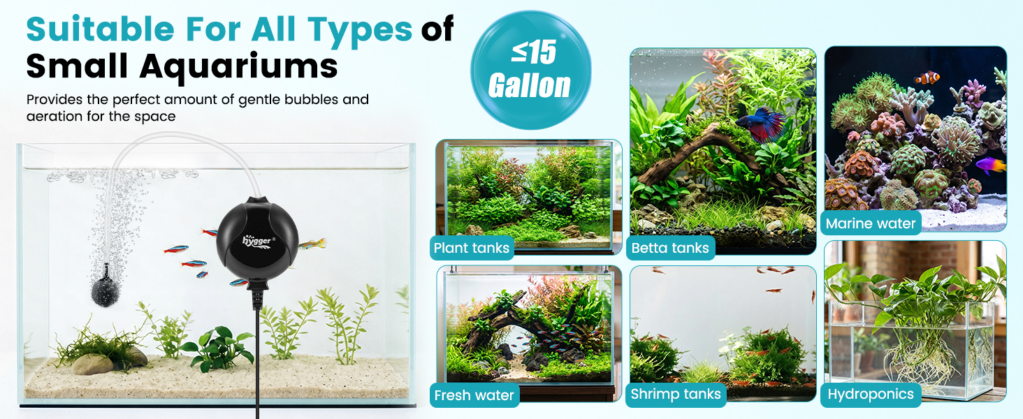 air pump for fish tank