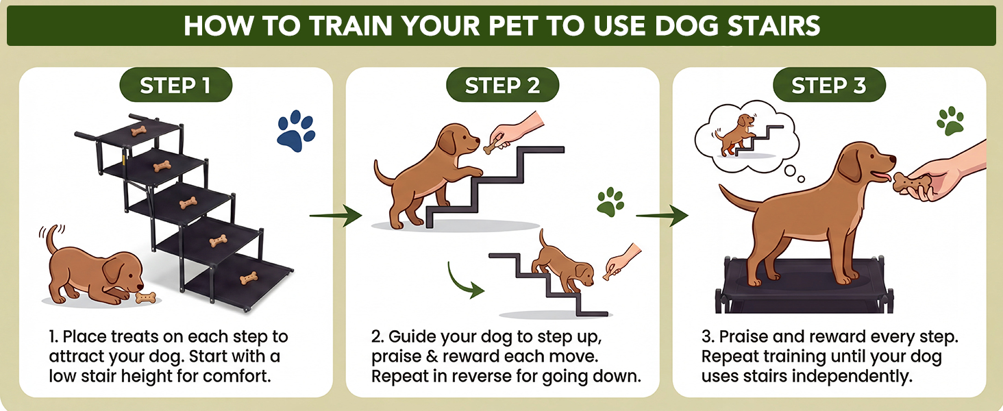 HOW TO TRAIN YOUR PET TO USE DOG STAIRS