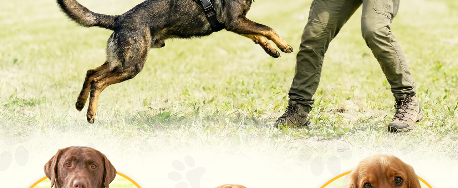 tug war dog toy large dogs toys pull bite training equipment bungee pillow police bumper durable