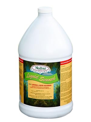 medina liquid seaweed