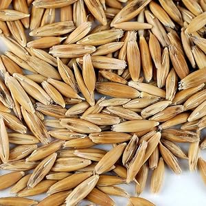 Organic Whole Oat Groats
