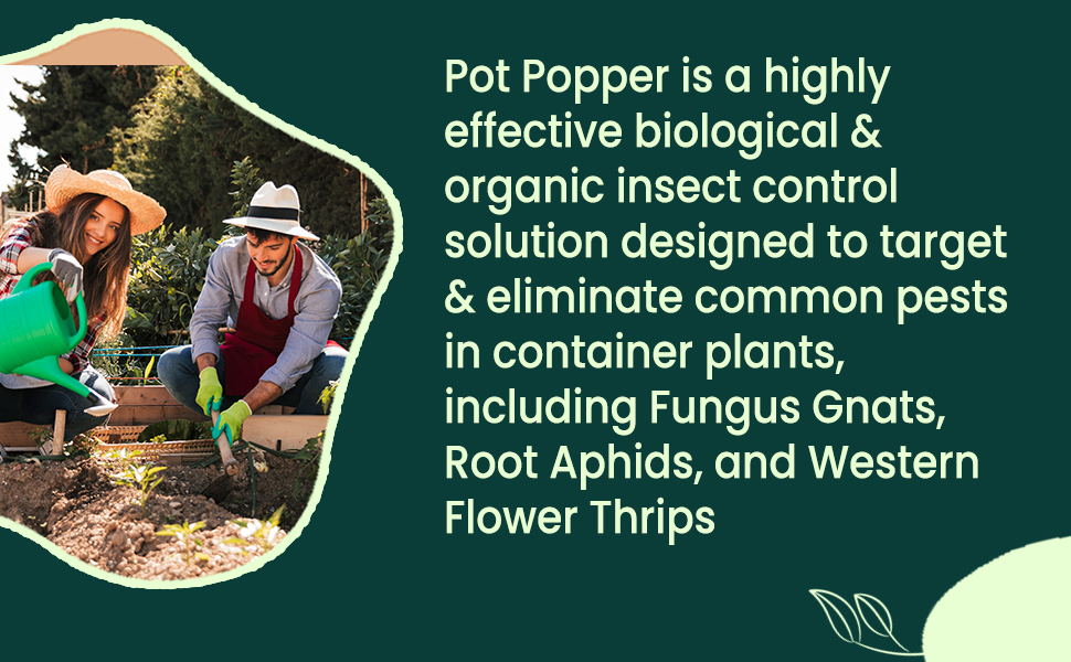 Pot Poper biological insect control
