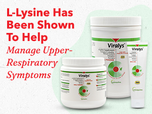 lysine dosage
