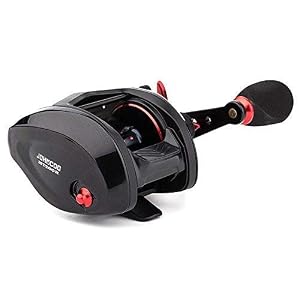casting reel for bass