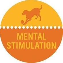 mental stimulation