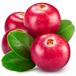 Image of cranberries