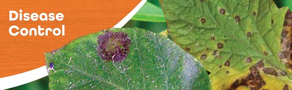 Garden Disease Control Banner with Diseased Leaves