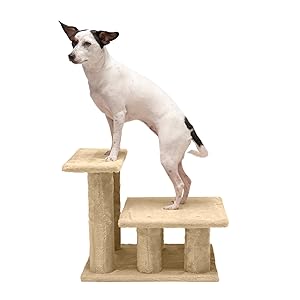 2 step; convertible; configuration