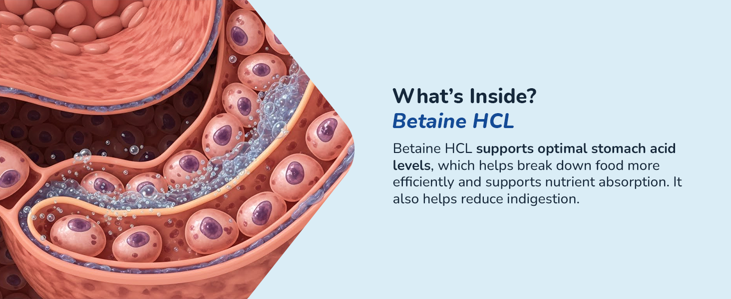 healthygut probiotics best women probiotic repair primal restore support