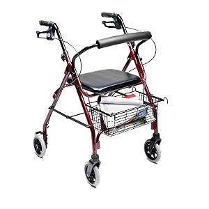 adult, senior, seat, pouch, basket, cushion, back rest, four wheel, 4 wheel, rolling, walker
