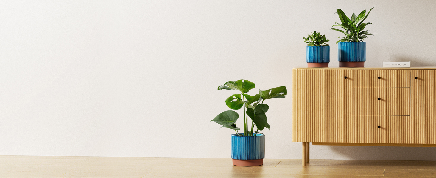 large plant pots