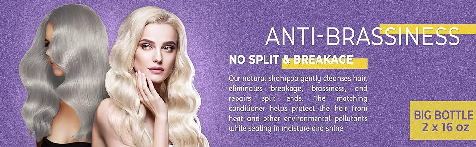 Purple Shampoo and Conditioner
