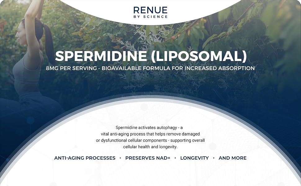 Spermidine