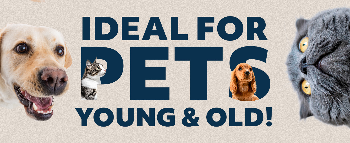 Ideal for Pets Young &amp; Old