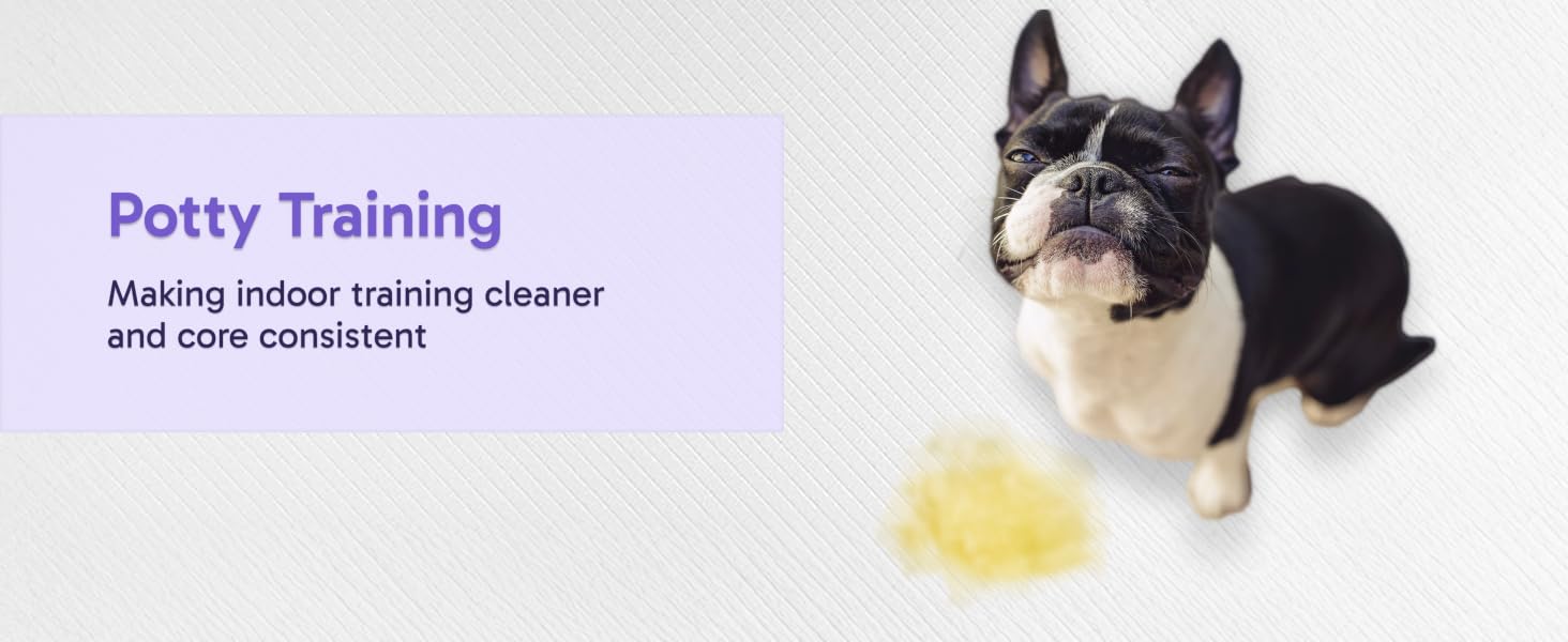 Potty Training