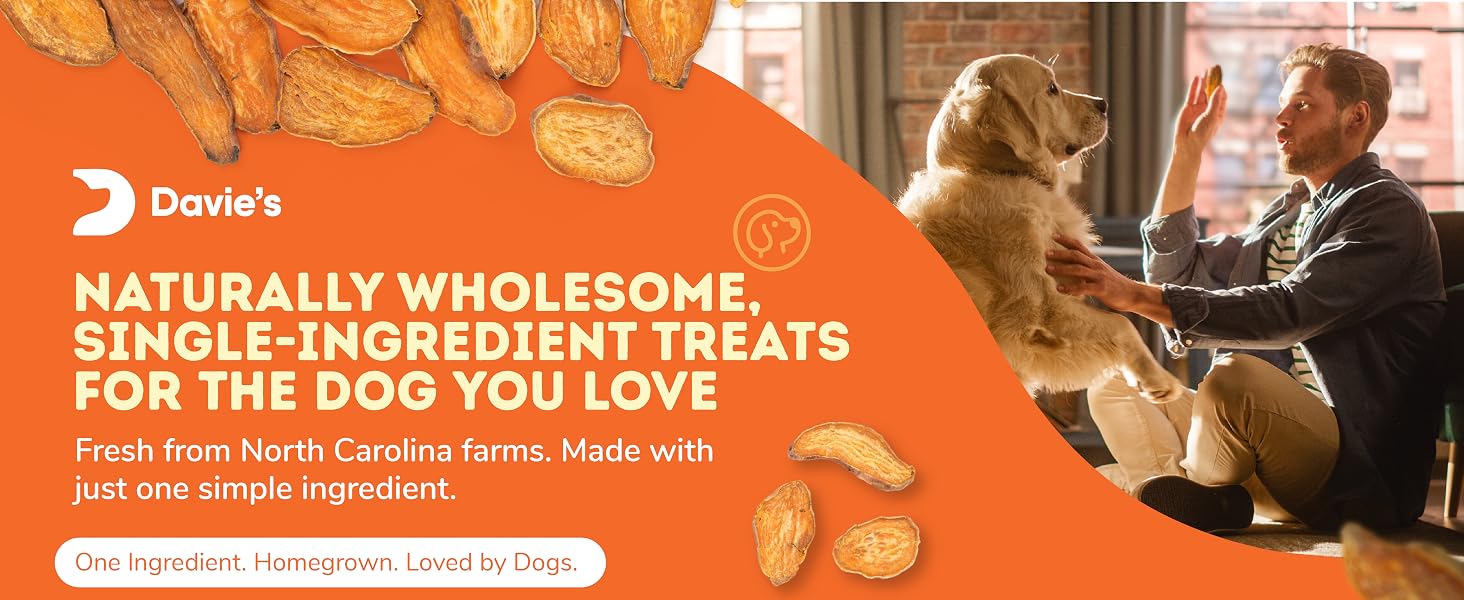 Davie’s Sweet Potato Dog Treats – single-ingredient, wholesome snacks made with 100% sweet potatoes