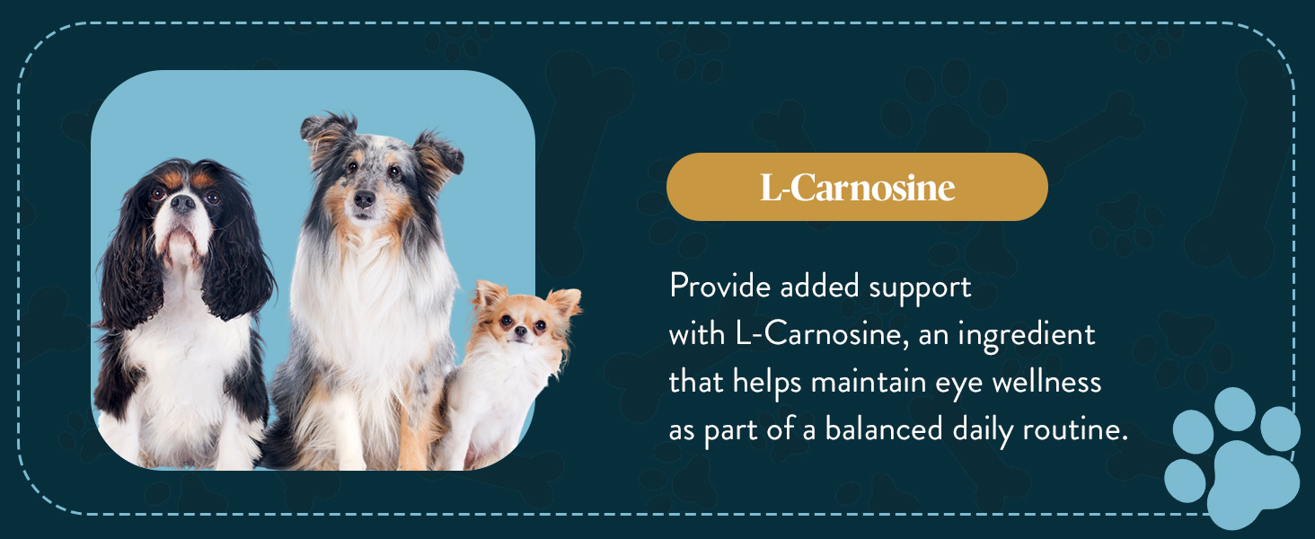 L-Carnosine