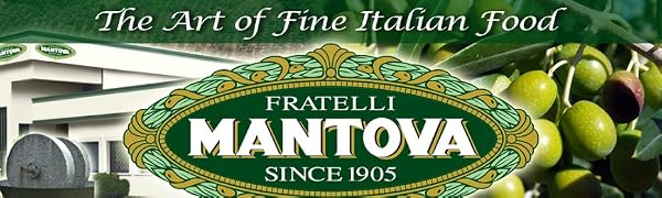 The Art of Fine Italian Food