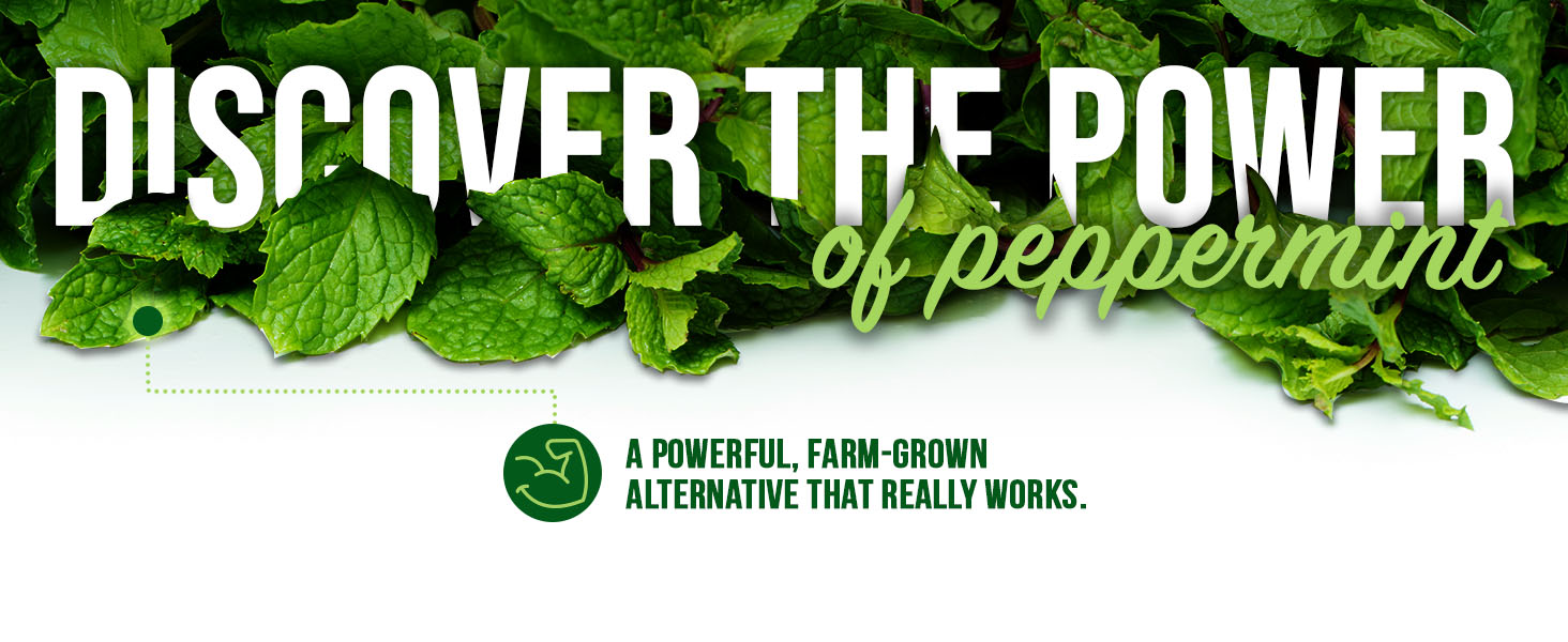 Discover the Power of peppermint