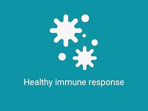 adults organic multivitamin daily respiratory system quercitin activated lipoflavonoid cap