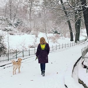 Dog Walking