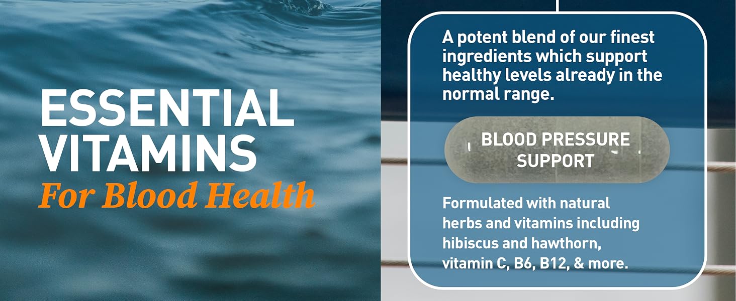 Essential Vitamins for Blood Health