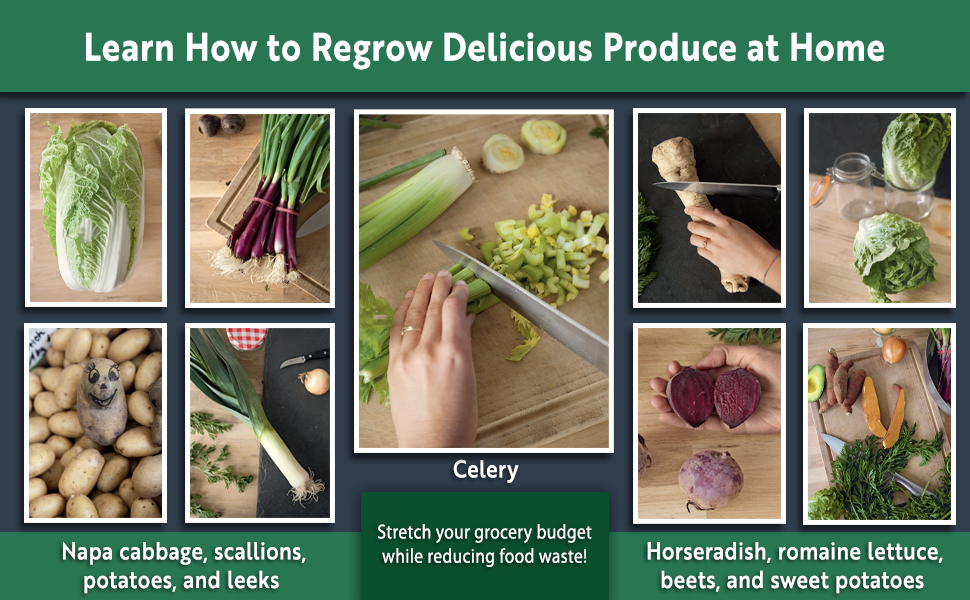Images of Napa cabbage, scallions, potatoes, leeks, beets, horseradish, and sweet potatoes