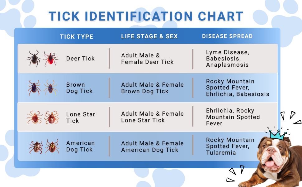 Provecta for Dogs