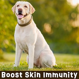Boost Skin